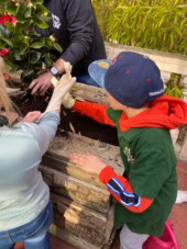 Des enfants jardinent avec les plus âgés